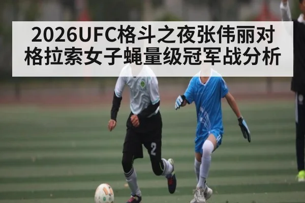 2026UFC格斗之夜张伟丽对格拉索女子蝇量级冠军战分析